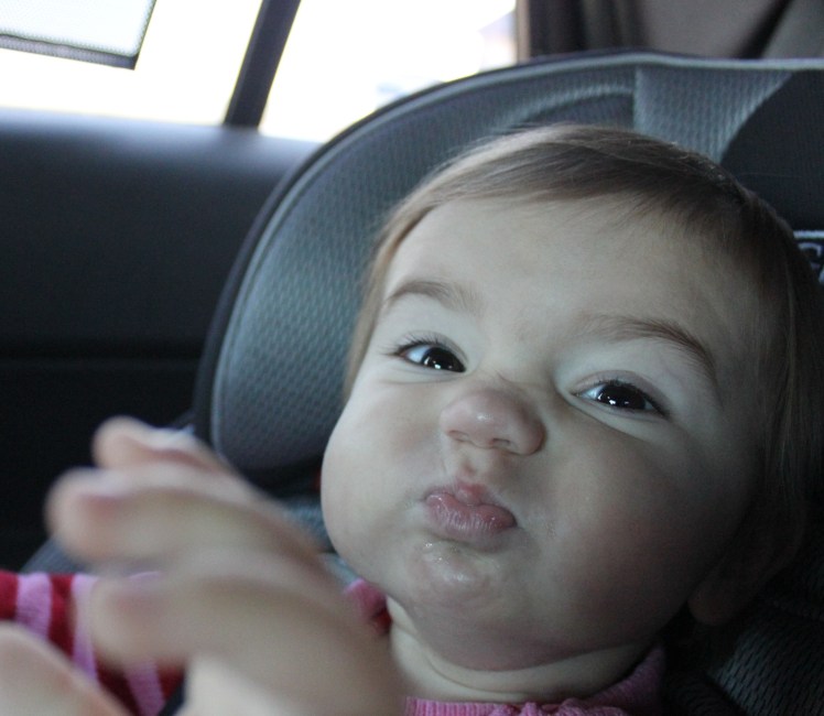 The Riley Jo Face The Riley Jo Face - complete with snorting, sniffling, and all together cuteness.